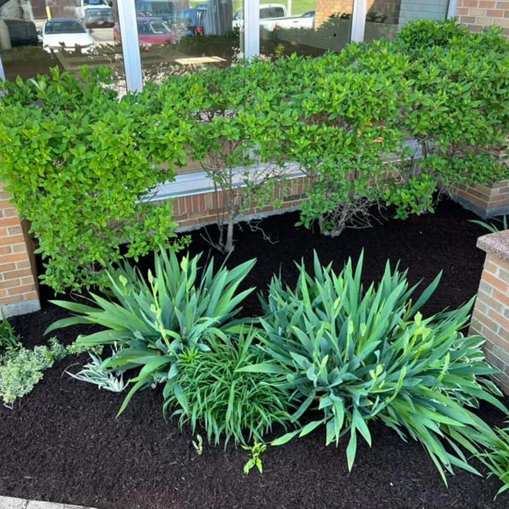 Flowerbed Installation & Maintenance – Woodstock, IL – Leo's Landscaping & Tree Service