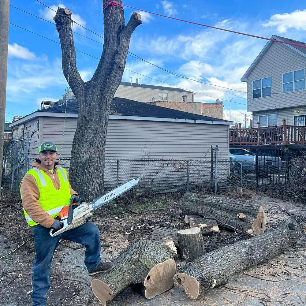 Tree Removal – Woodstock, IL – Leo's Landscaping & Tree Service