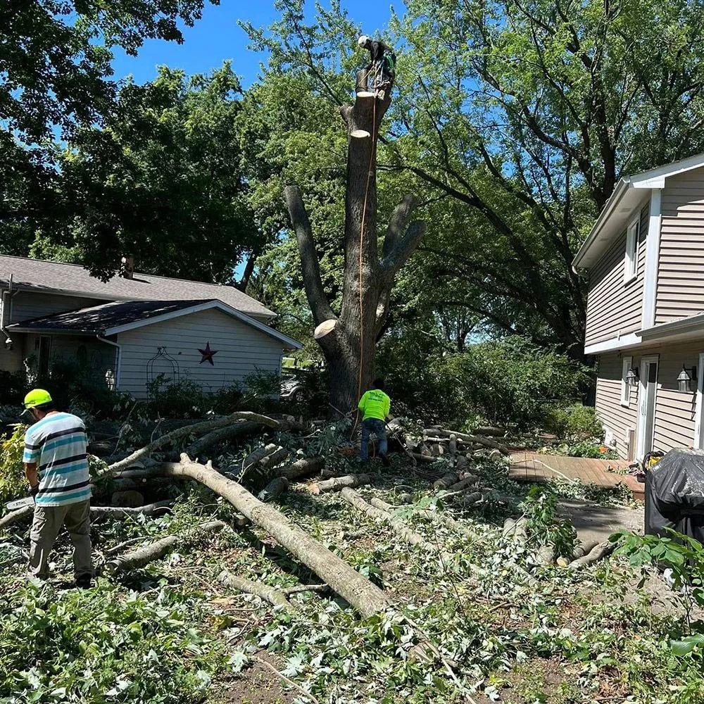 Storm Damage Cleanup – Woodstock, IL – Leo's Landscaping & Tree Service